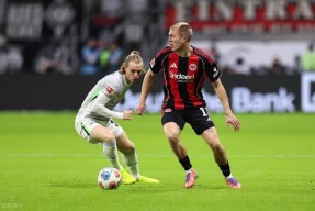 开云体育入口-切尔西主场球场