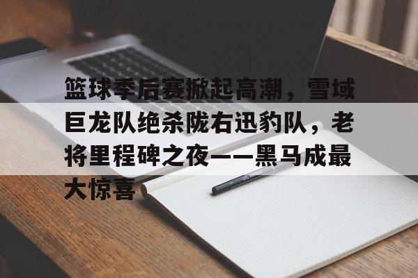 关于篮球季后赛掀起高潮，雪域巨龙队绝杀陇右迅豹队，老将里程碑之夜——黑马成最大惊喜的信息