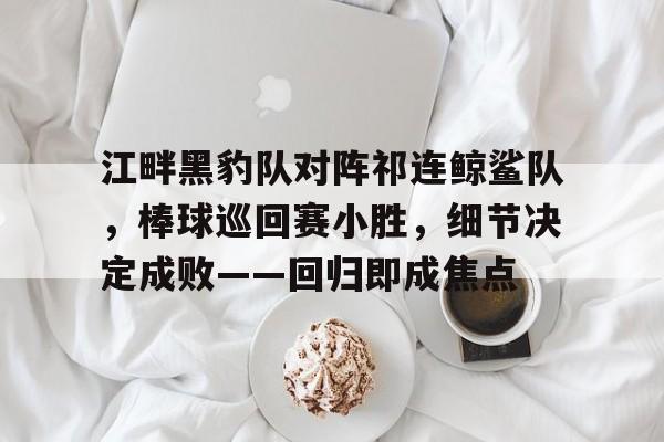 江畔黑豹队对阵祁连鲸鲨队，棒球巡回赛小胜，细节决定成败——回归即成焦点(黑豹乐队历任主唱)