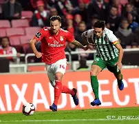 尼斯内部会议纪要流出——冲刺阶段强势反弹，葡超使命明确，赛季目标并未改变的简单介绍